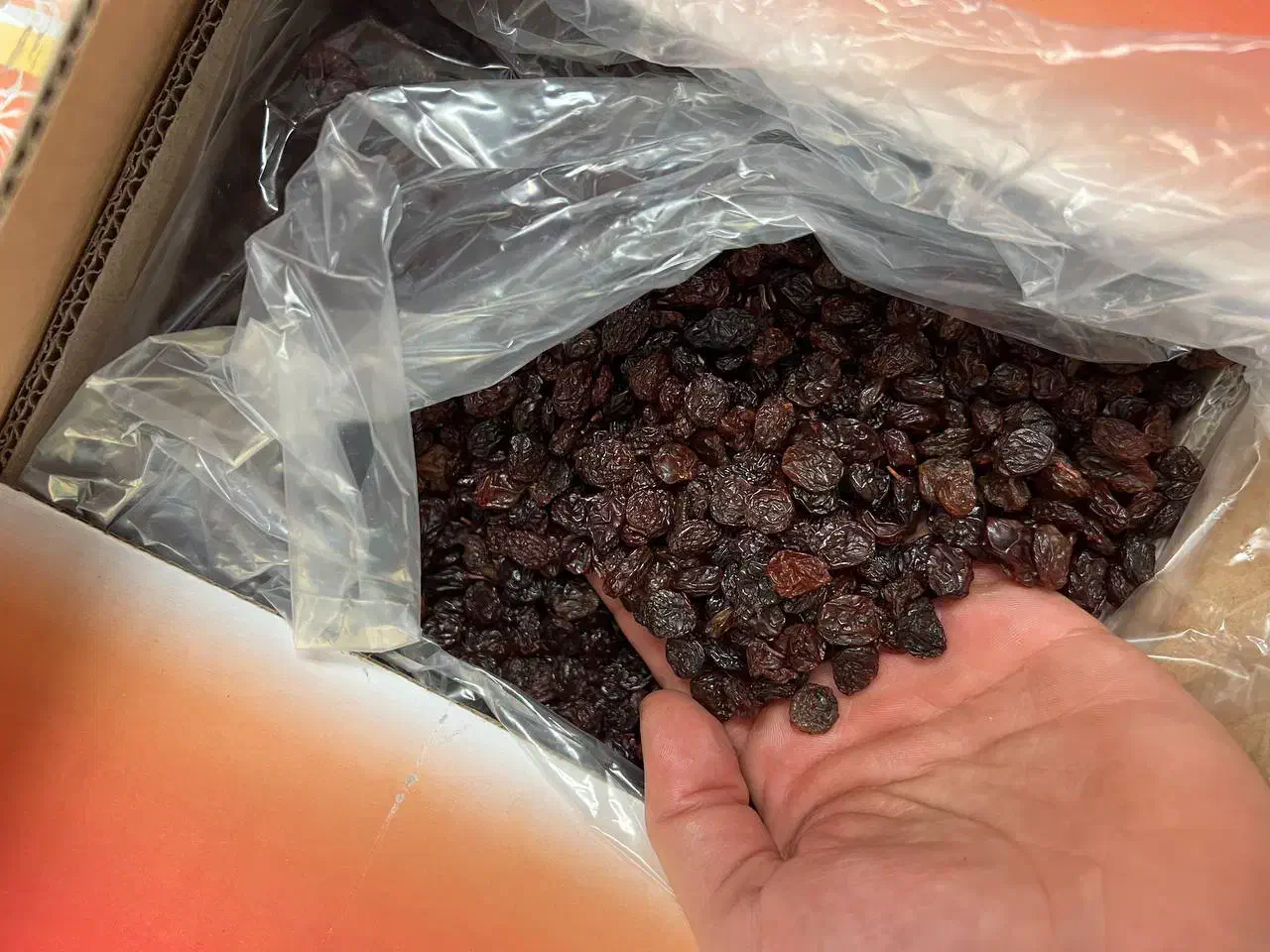 کشمش اصل تاکستان|خوردنی و آشامیدنی|تهران, بازار|دیوار