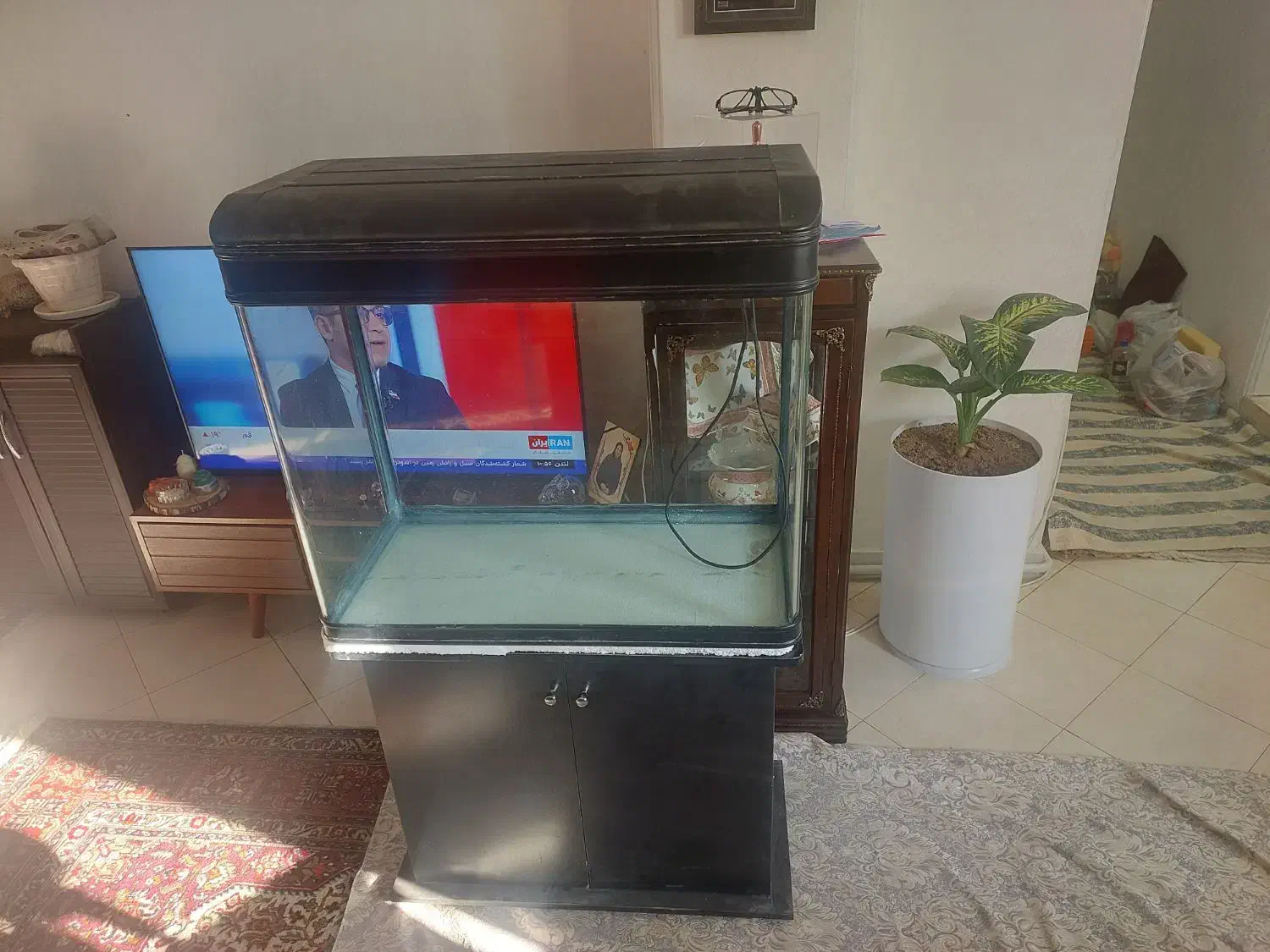 فروش اکواریوم با و سایل|ماهی|ری, ولی آباد|دیوار