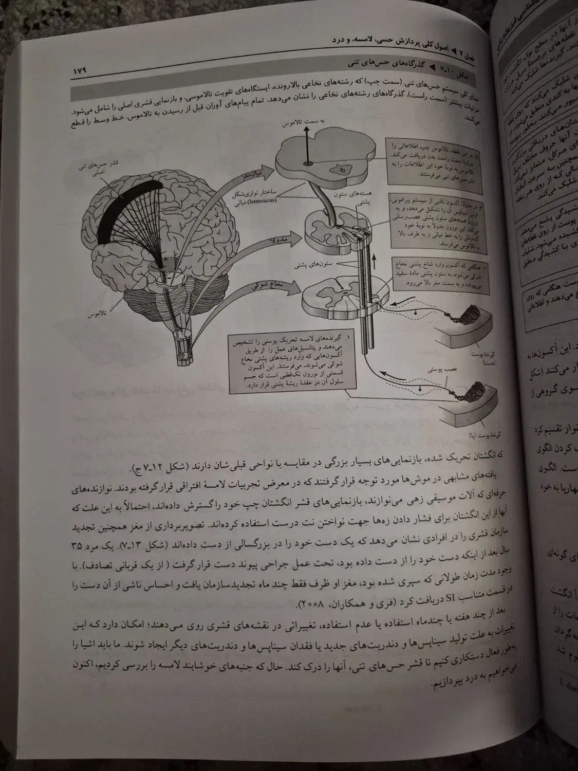 روانشناسی فیزیولوژیکی ترجمه یحیی سیدمحمدی|کتاب و مجله آموزشی|میانه, |دیوار