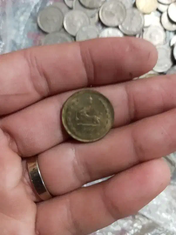 سکه رضاه شاه|کلکسیون سکه، تمبر، اسکناس|بوشهر, |دیوار