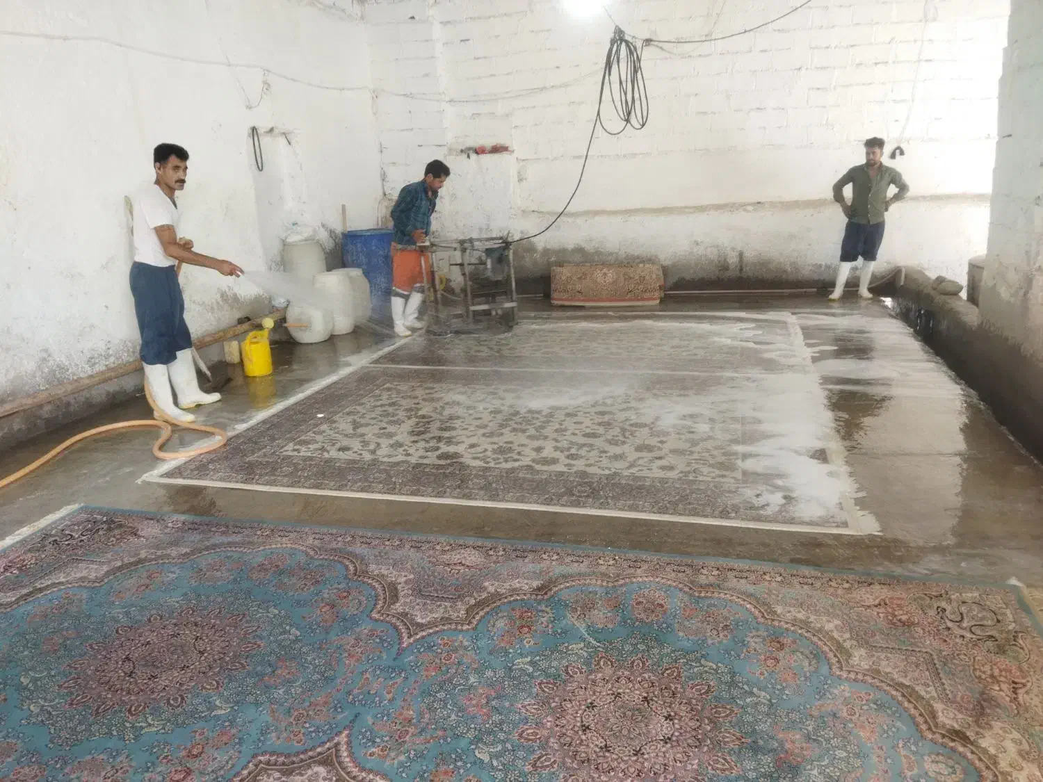 کارگر و رانند برای قالیشوی|استخدام حمل و نقل|مشهد, پنجتن|دیوار