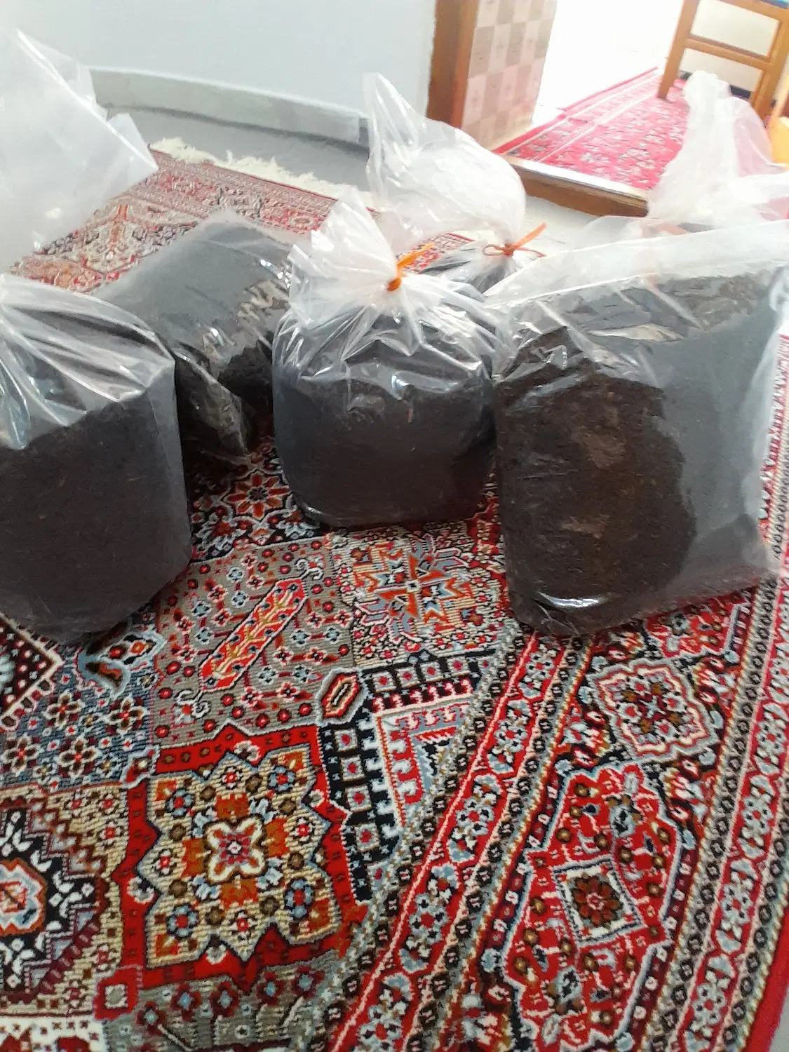 چای|خوردنی و آشامیدنی|رودسر, |دیوار