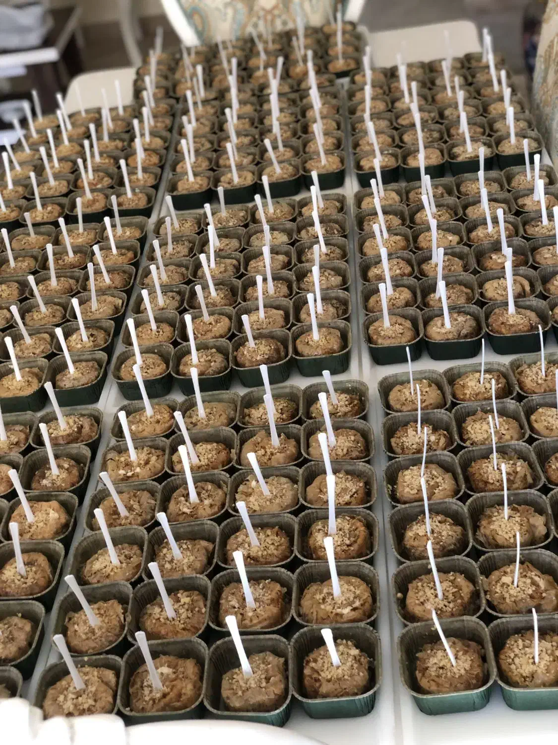 باقلوا|خدمات پذیرایی، مراسم|تبریز, |دیوار