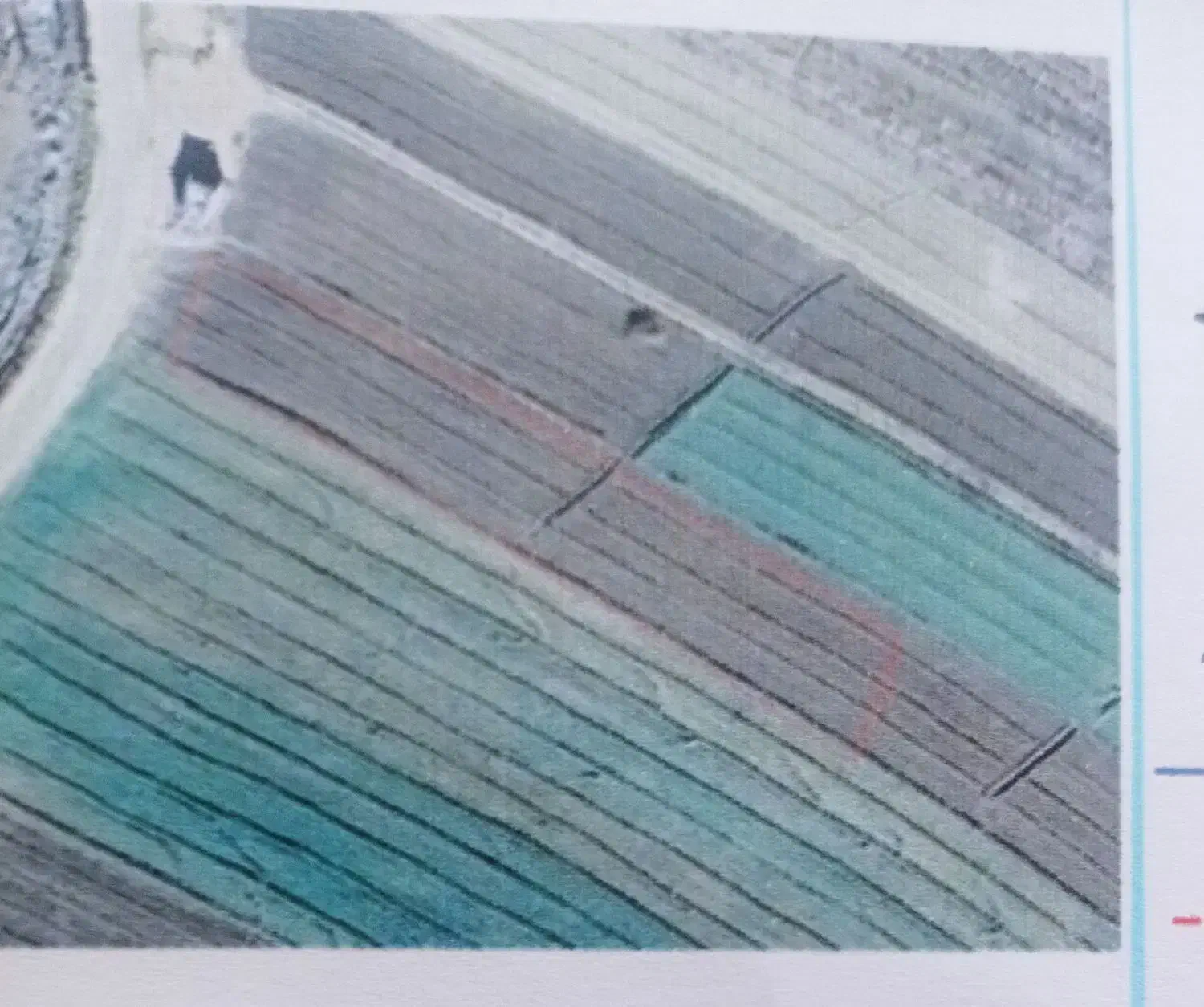 اجاره زمین آبی جهت کشاورزی یا سبزی کاری|اجارهٔ دفتر صنعتی، کشاورزی، تجاری|خرمآباد, |دیوار