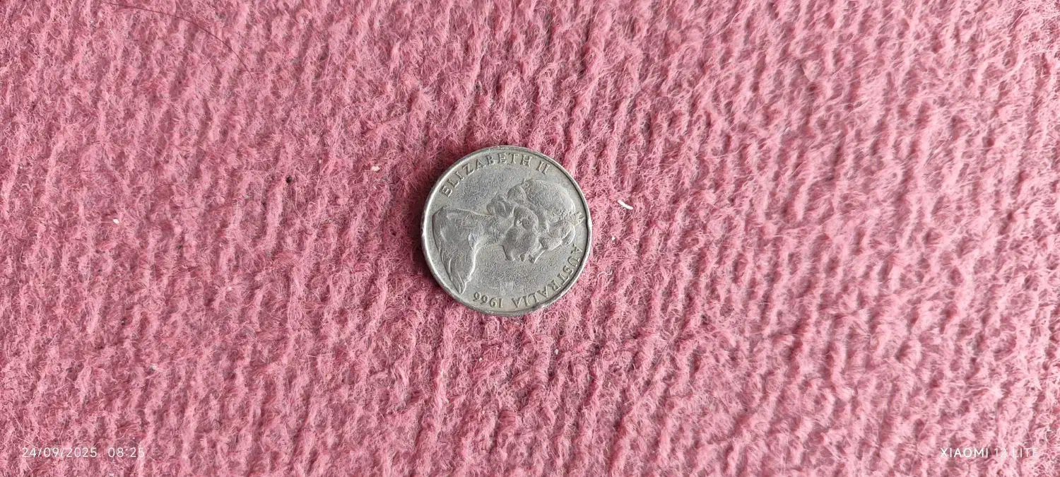 سکه قدیمی|کلکسیون سکه، تمبر، اسکناس|سمنان, |دیوار