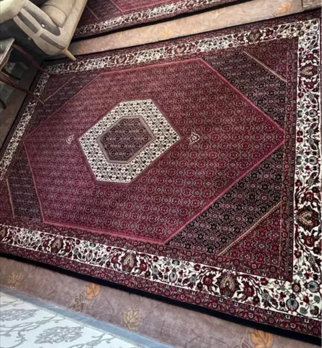 فرش 6 متری 500 شانه پنج میلیون|فرش|مشگین شهر, |دیوار