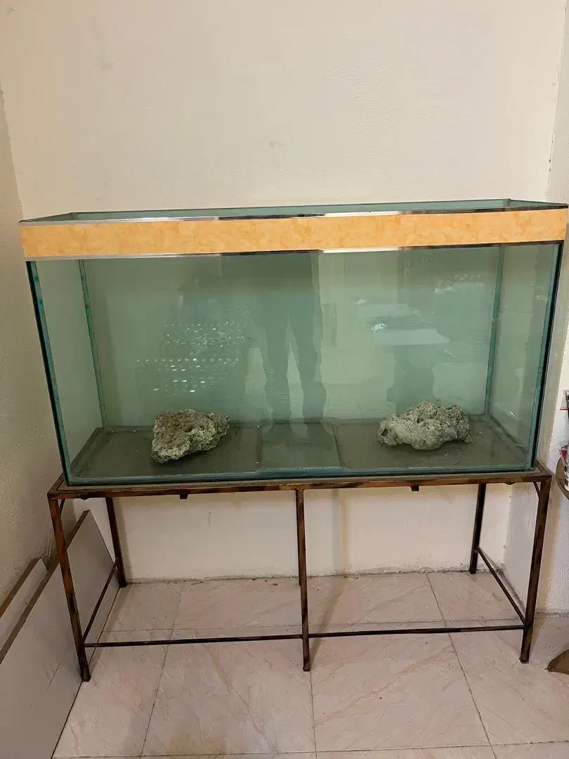 آکواریوم|ماهی|تهران, دربند|دیوار