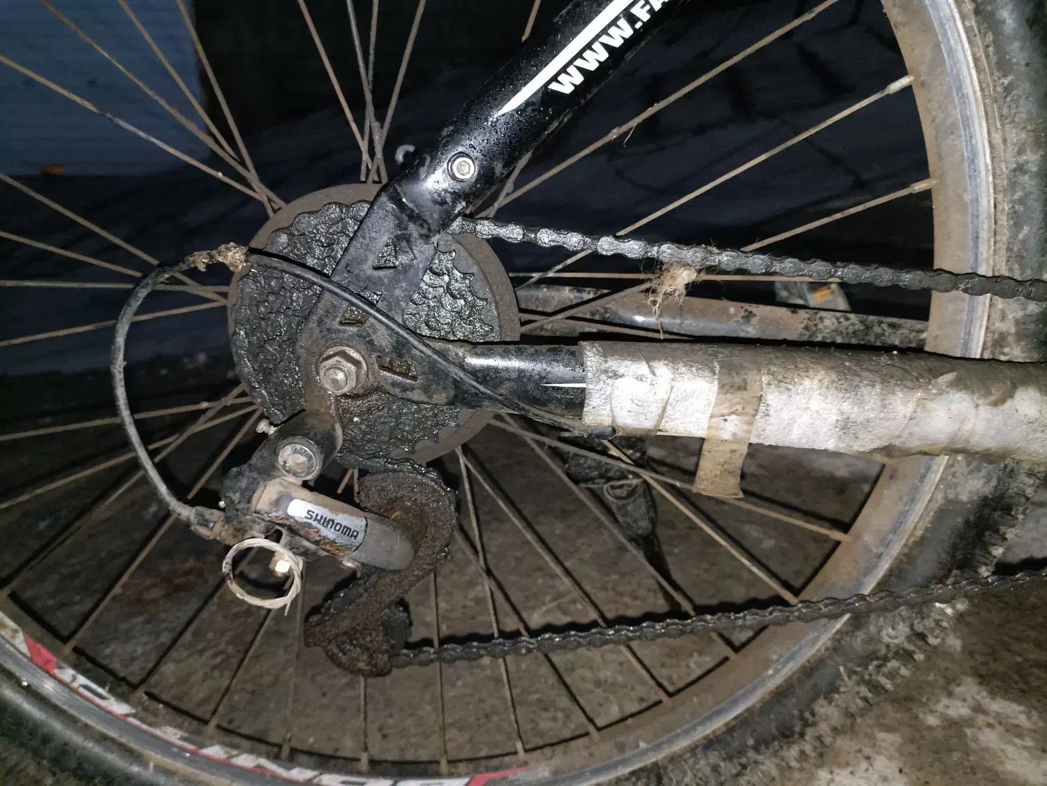 دوچرخه حرفه ای بونیتو|دوچرخه، اسکیت، اسکوتر|بانه, |دیوار