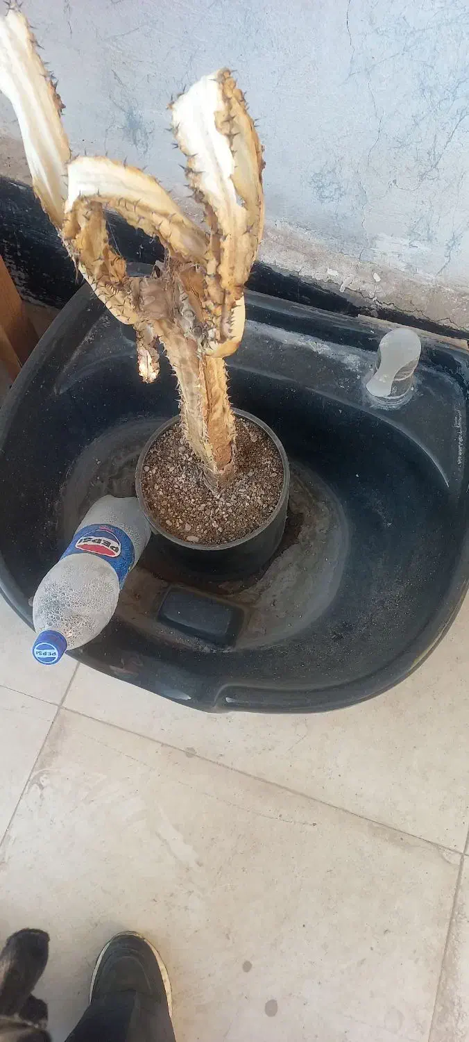 سنگ سرشور کاملا سالم|لوازم سرویس بهداشتی|اهواز, کوی مهدیس|دیوار