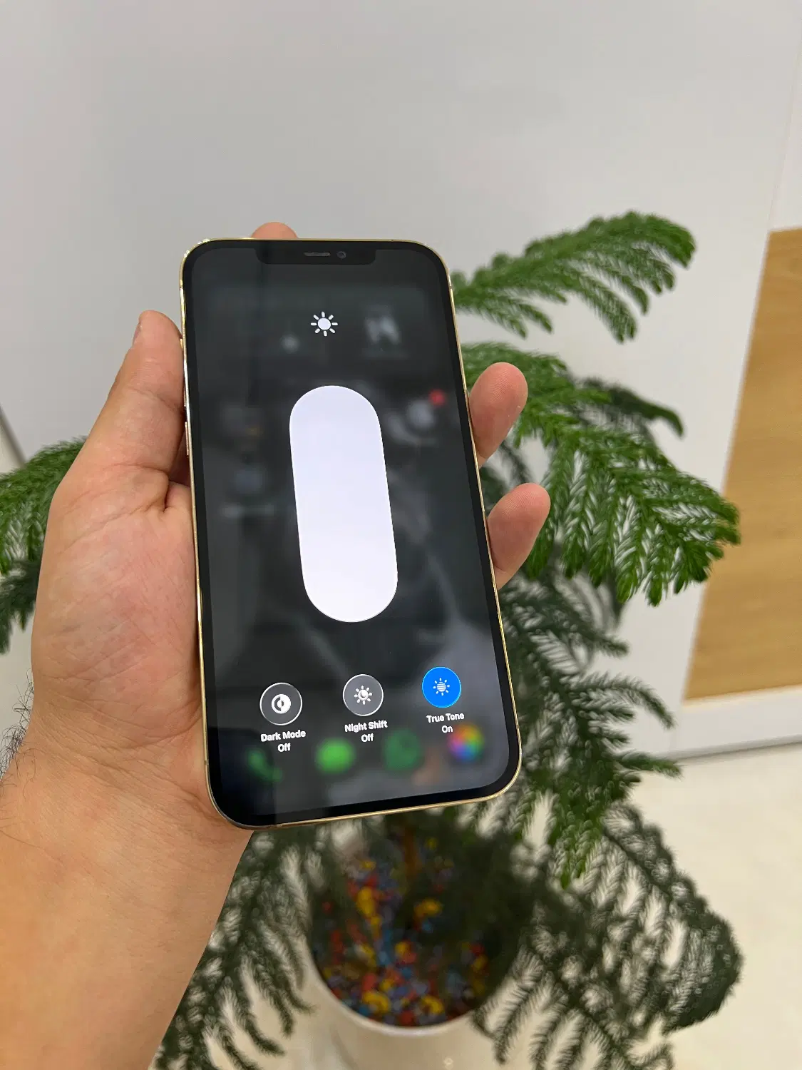 Iphone 12 pro max دوسیم مارت پک اصلی|موبایل|شیراز, فخرآباد (دروازه کازرون)|دیوار