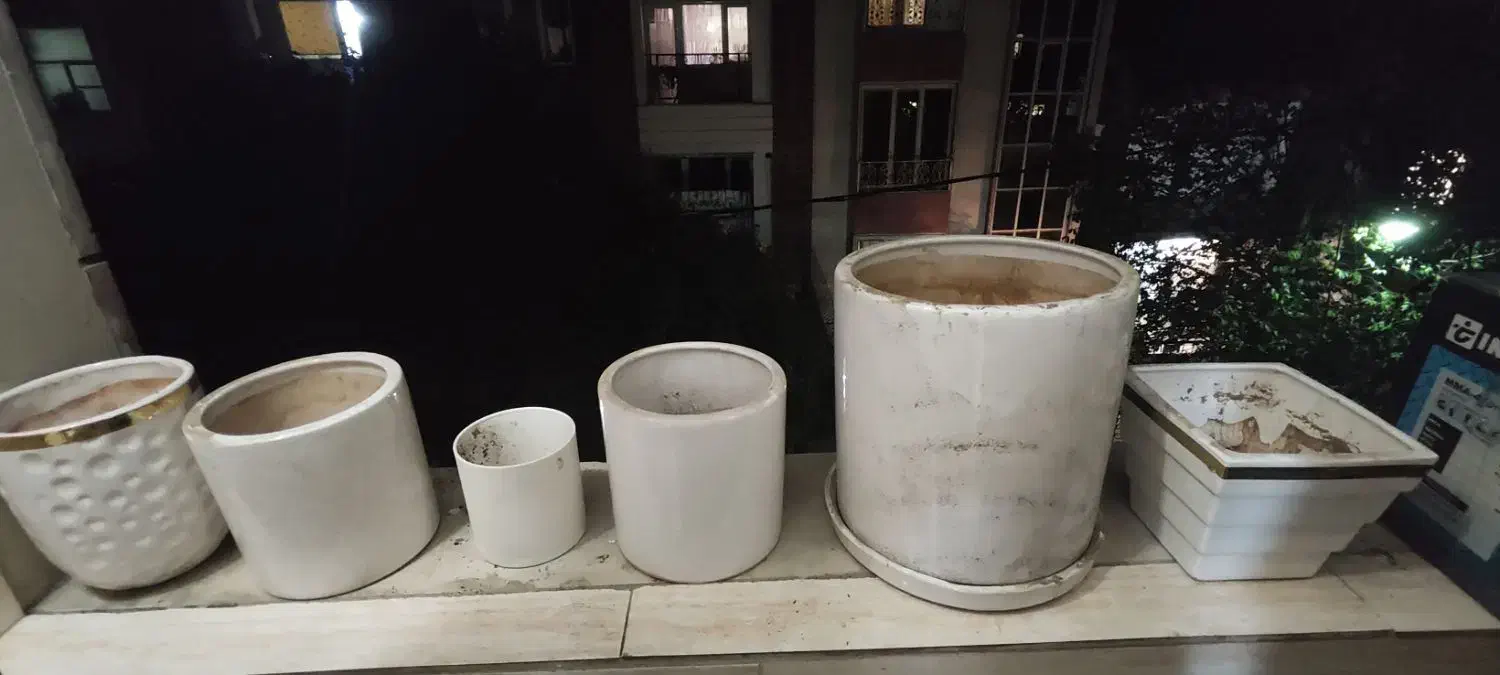 گلدان چینی|گل و گیاه طبیعی|تهران, دولاب|دیوار