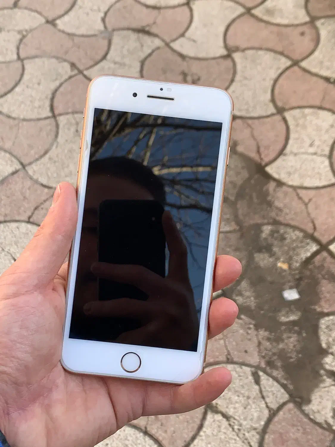 ایفون8پلاس 256 LLA|موبایل|تالش, هشتپر|دیوار