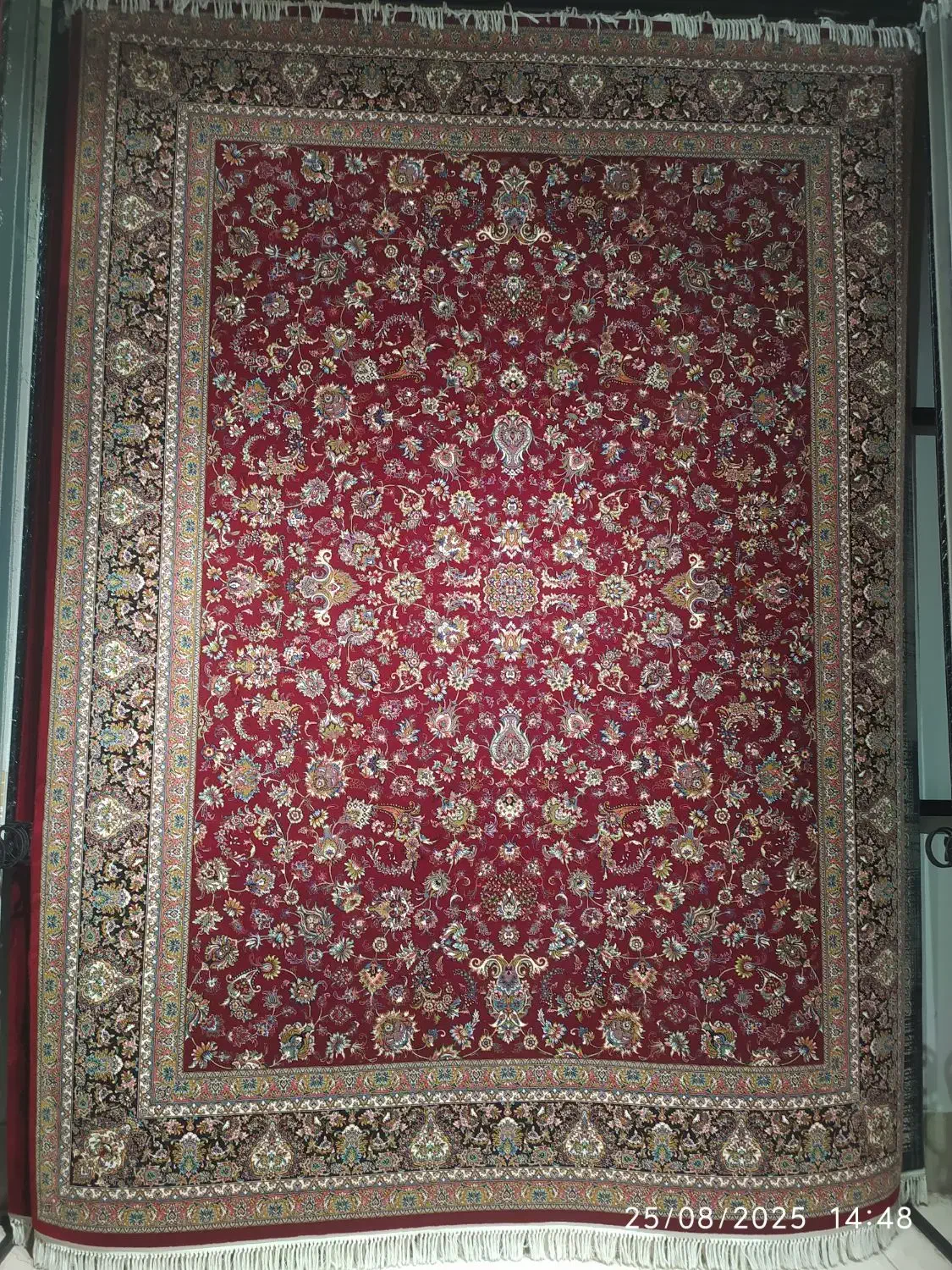 60ماه ضمانت *فرش نخ ترک|فرش|مشهد, شیرودی|دیوار