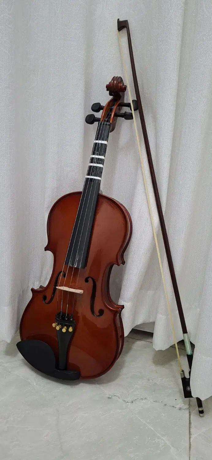 ویولن رناتو۲۲۰|ویولن|تهران, شمشیری|دیوار