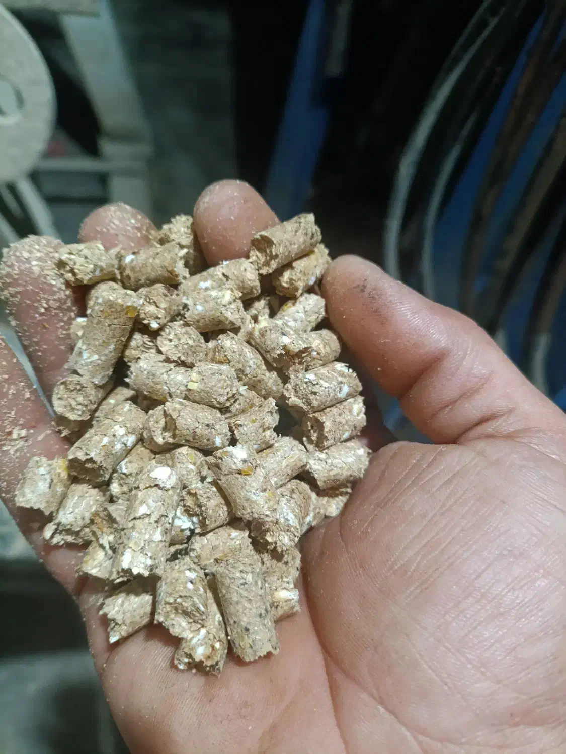 عمده فروشی دان پلت مرغی ودامی|عمدهفروشی|میلاجرد, |دیوار