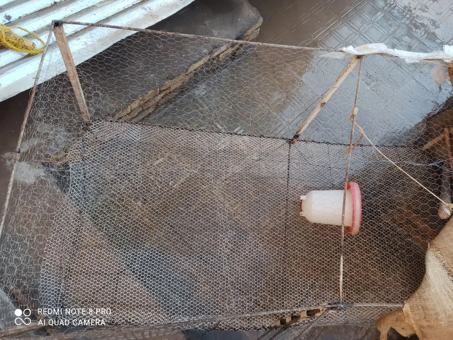 قفس توری مرغ و خروس بوقلمون کبوتر..|لوازم جانبی حیوانات|کرمان, |دیوار