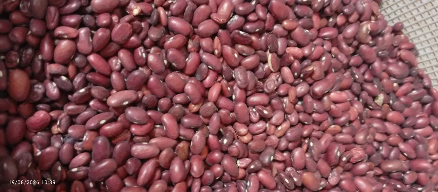 لوبیا|خوردنی و آشامیدنی|ایذه, |دیوار