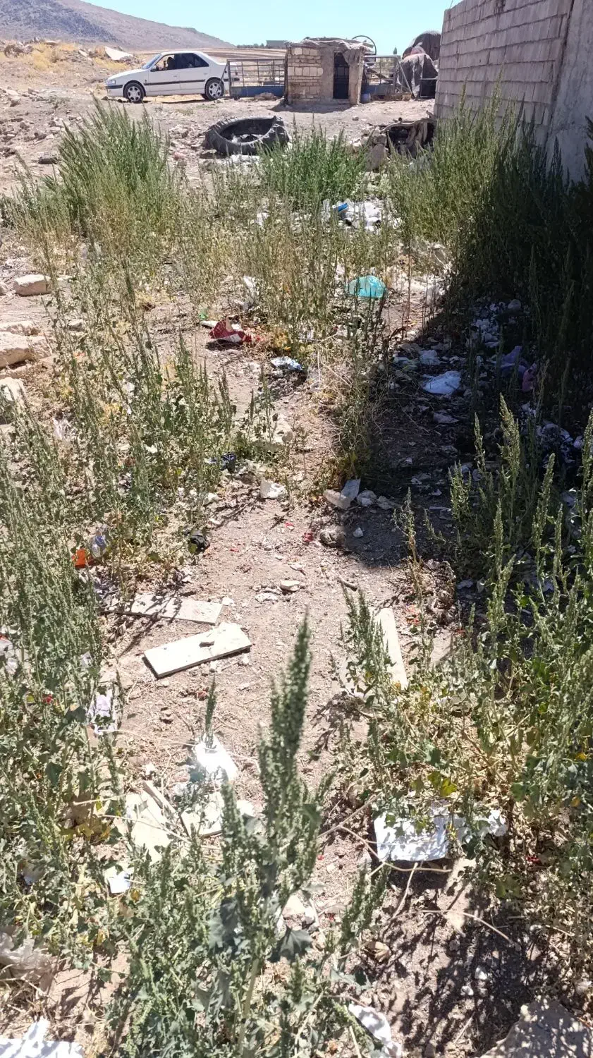 زمین چشمه خانی|فروش زمین و ملک کلنگی|نورآباد, |دیوار