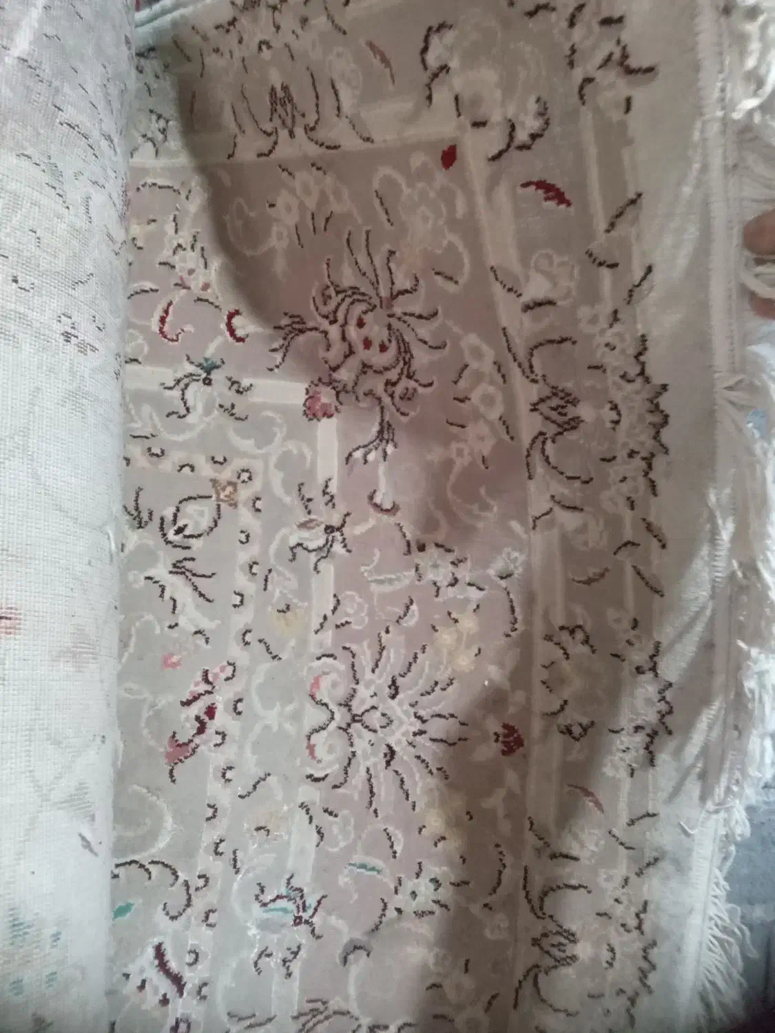 چند تا فرش ۶و۹و۱۲متری|فرش|املش, |دیوار