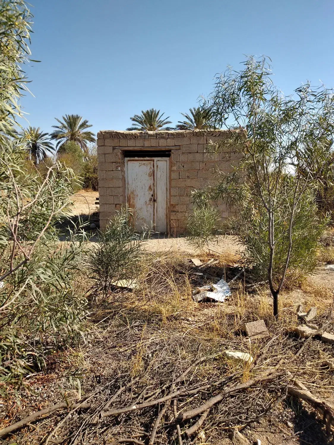 زمین خفر|فروش دفتر صنعتی، کشاورزی، تجاری|خفر, |دیوار