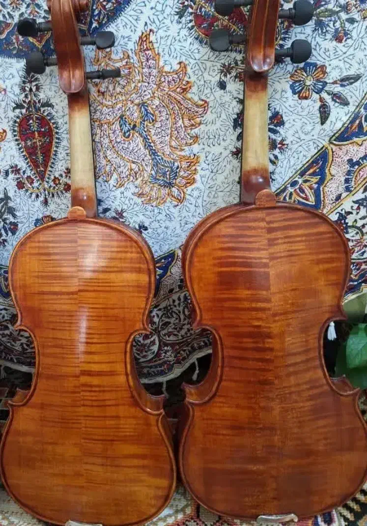 ویولن مشتاق|ویولن|اصفهان, کوی ولی عصر|دیوار