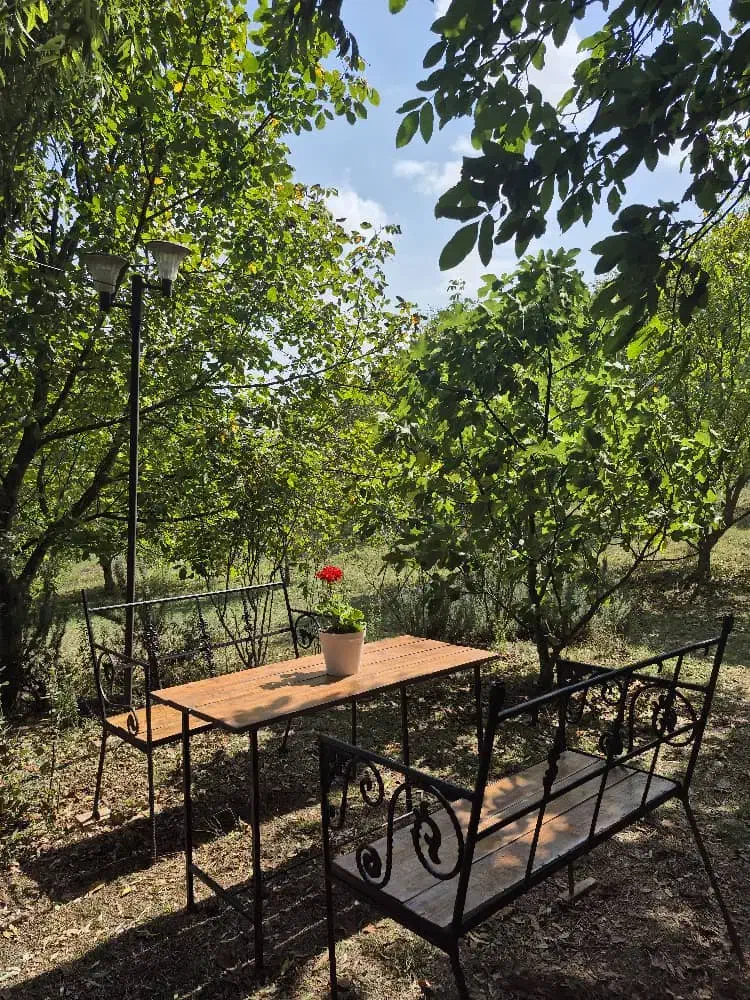 اجاره روزانه/هفتگی/ماهانه ویلا ۷۰ متری در حومه رشت|اجارهٔ کوتاهمدت ویلا و باغ|رشت, حومه رشت|دیوار