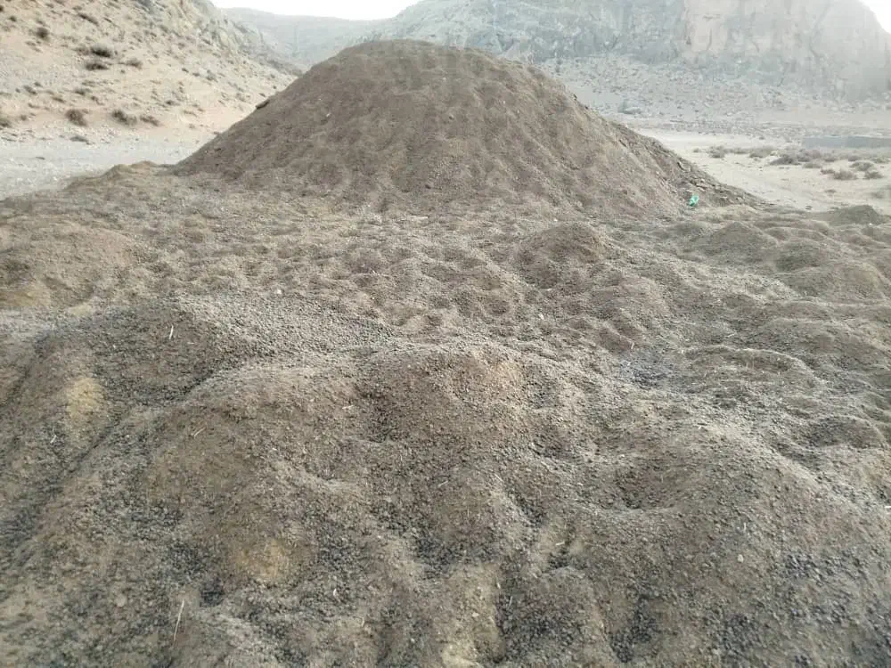 کود گوسفند|خدمات باغبانی و درختکاری|مرودشت, نقش رستم|دیوار