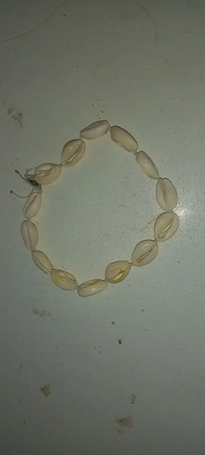 مهره صدف|بدلیجات|مشهد, آزادشهر|دیوار