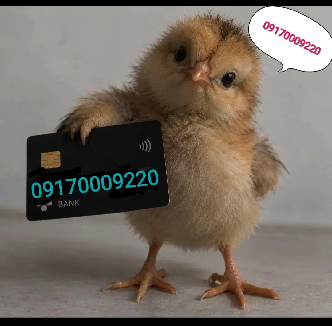 917 000  92  20|سیم‌کارت|شیراز, قدوسی غربی|دیوار