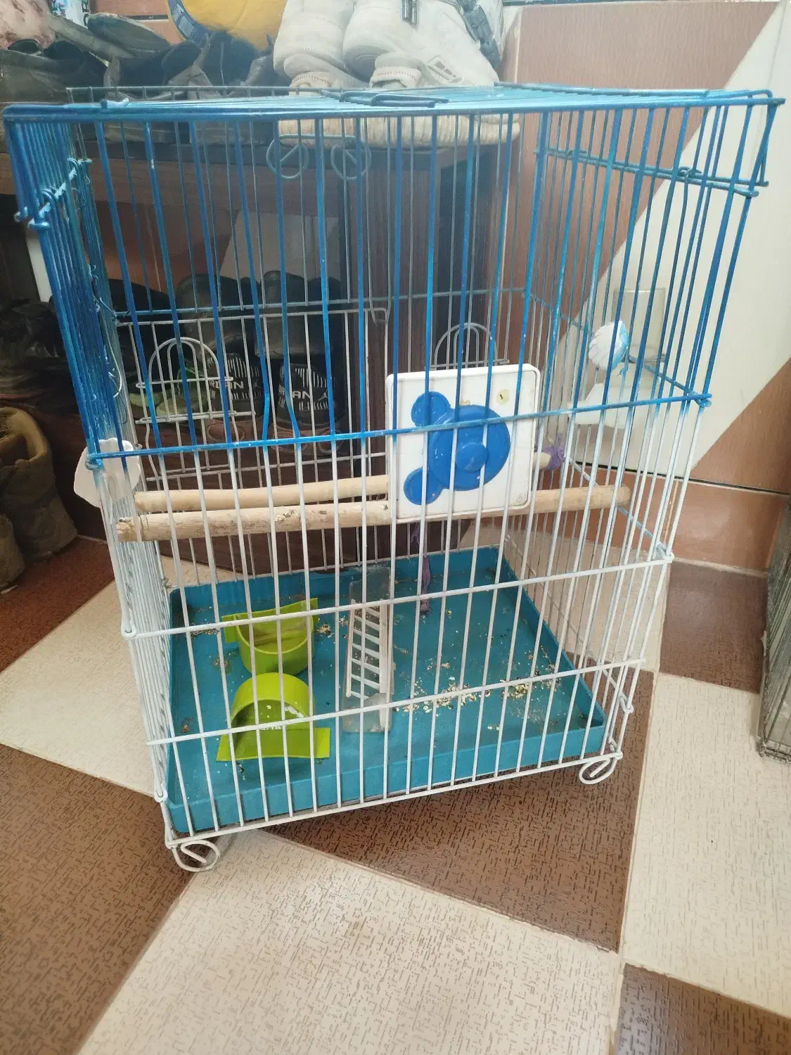 قفس|لوازم جانبی حیوانات|مرودشت, شهرک مهدیه|دیوار