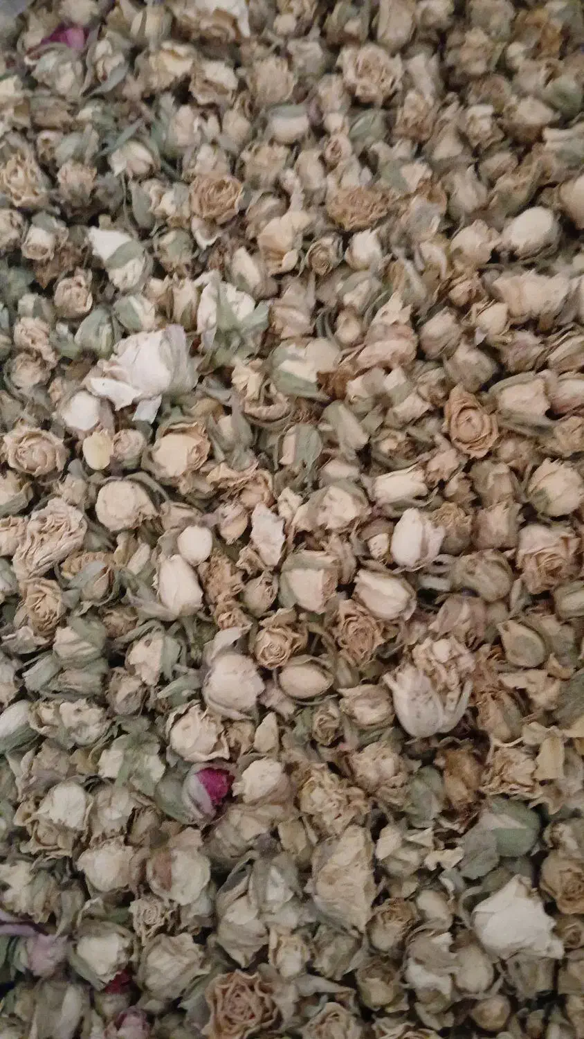 گل خشک رز|عمدهفروشی|محلات, |دیوار