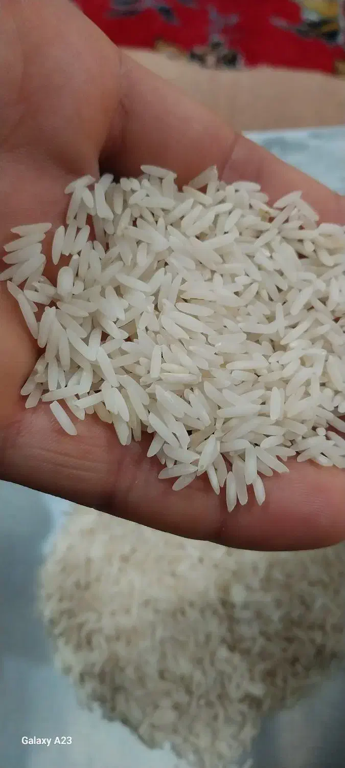 فروش برنج  هاشمی آستانه|خوردنی و آشامیدنی|تهران, هفت چنار|دیوار