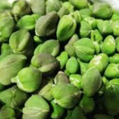 کبرگل|خوردنی و آشامیدنی|قزوین, |دیوار