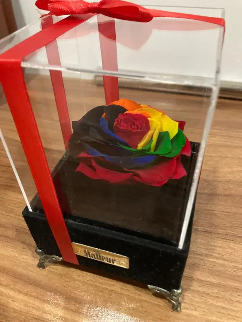 رز جاویدان رنگی و موزیکال از برندمافلر|گل مصنوعی|گلستان (تهران), |دیوار