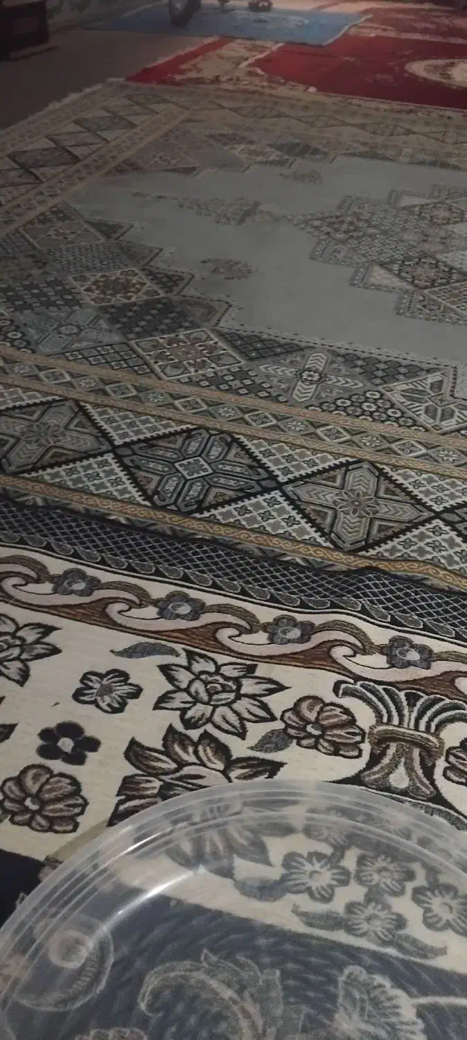 قالی|فرش|کارون, |دیوار