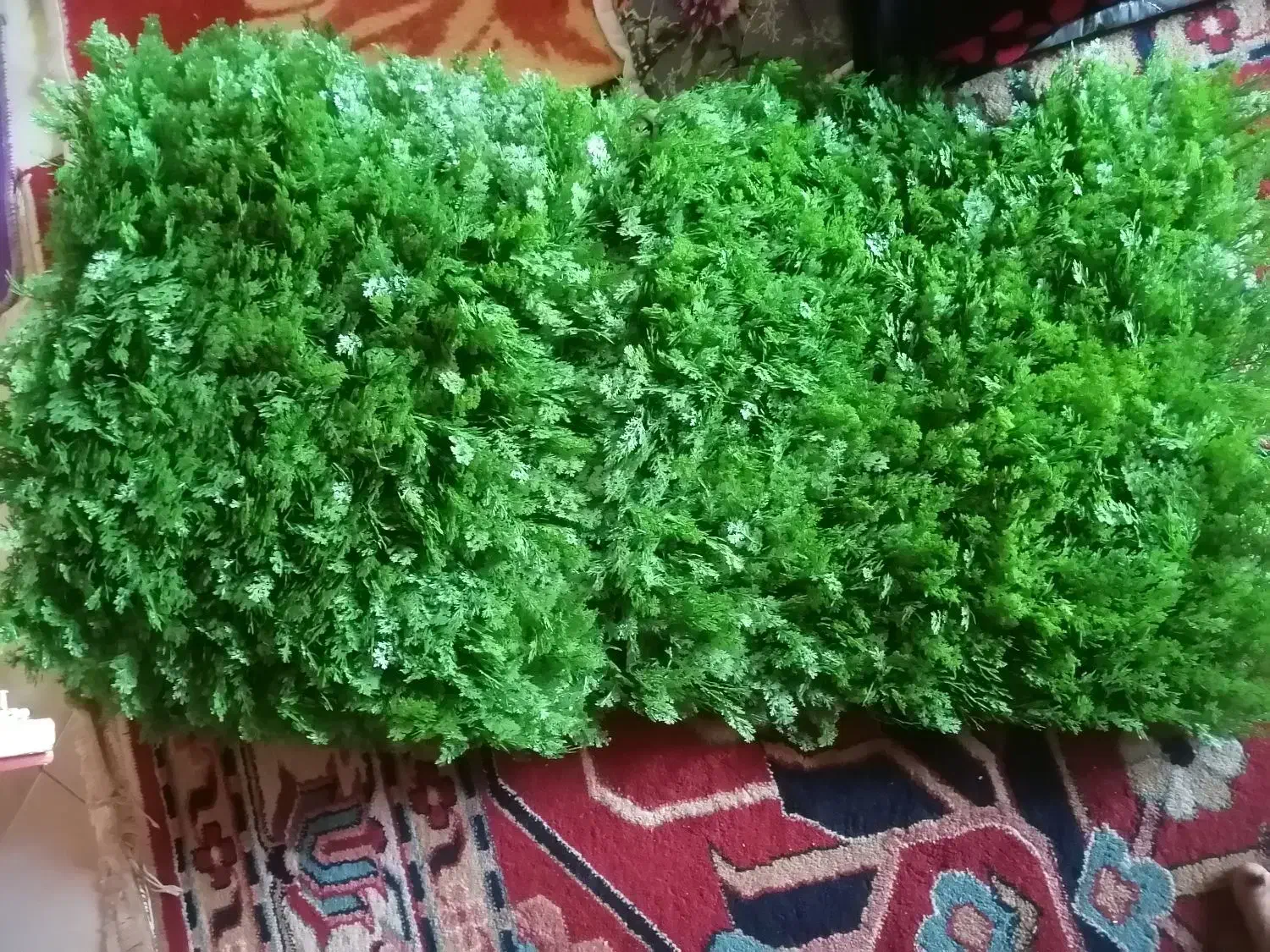 چمن سبز مصنوعی|گل مصنوعی|شیراز, ریشمک|دیوار