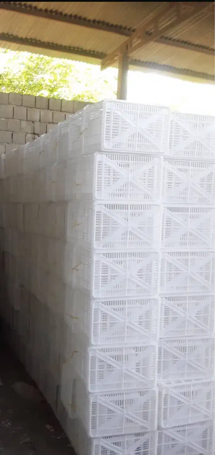 فروش سبد حمال و(خرید سبد ضایعات بالاترین قیمت)|عمده‌فروشی|جیرفت, |دیوار