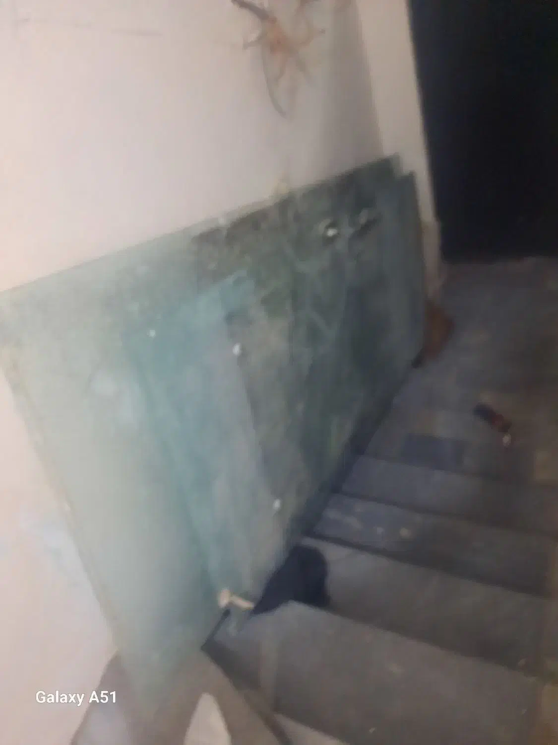 شیشه سکوریت|فروشگاه و مغازه|تبریز, |دیوار