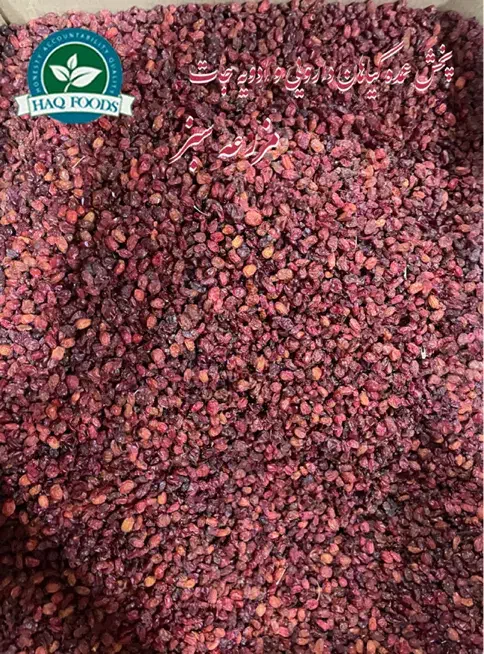 فروش عمده|خوردنی و آشامیدنی|بندر ترکمن, |دیوار