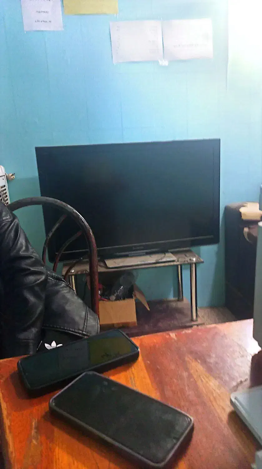 تلویزیون پاناسونیک|تلویزیون و پروژکتور|جنگل, |دیوار