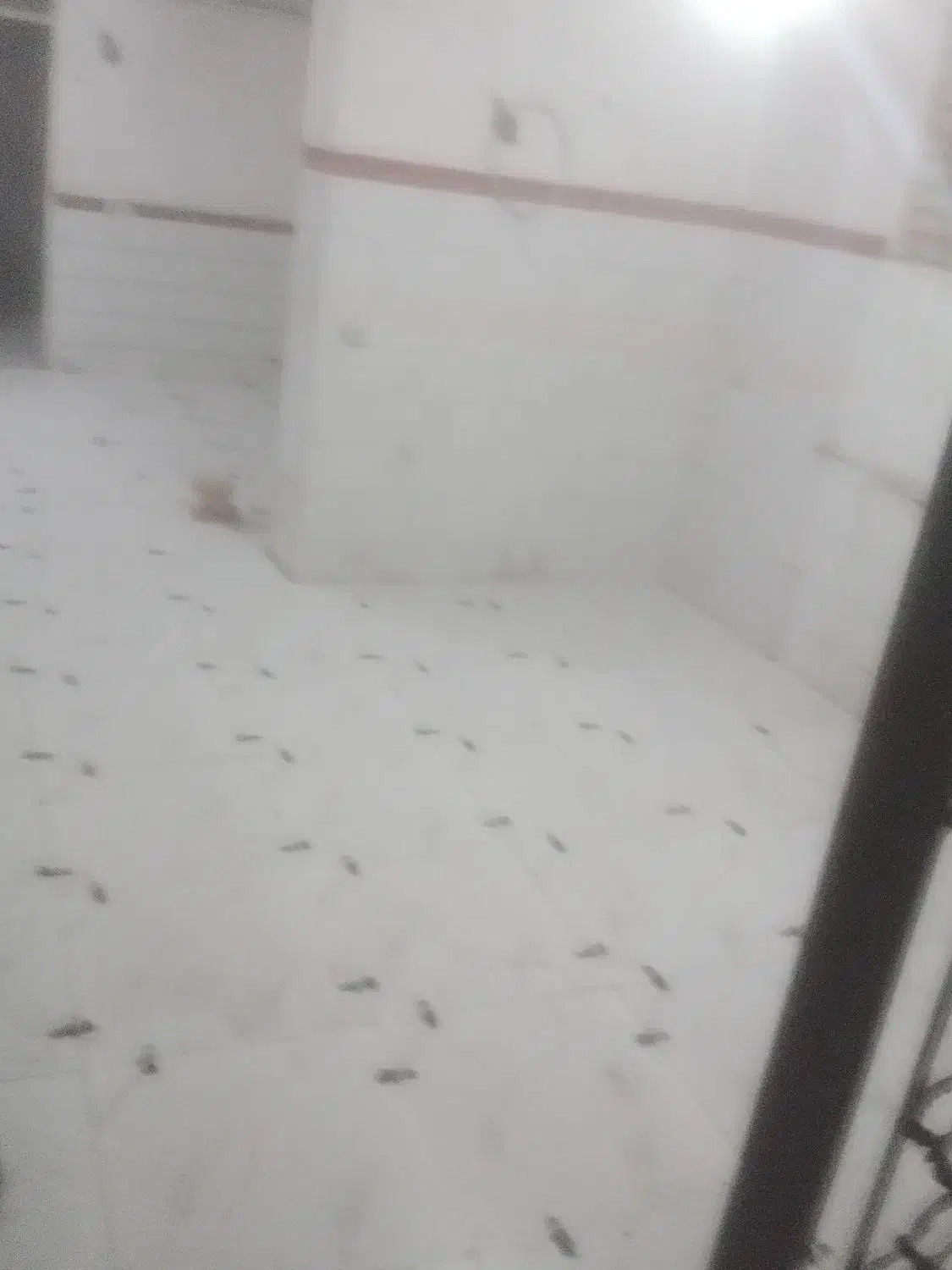 بنا/بنای استا کار سیمانکاری تعمیرات صفرتاصد|خدمات پیشه و مهارت|گرگان, |دیوار