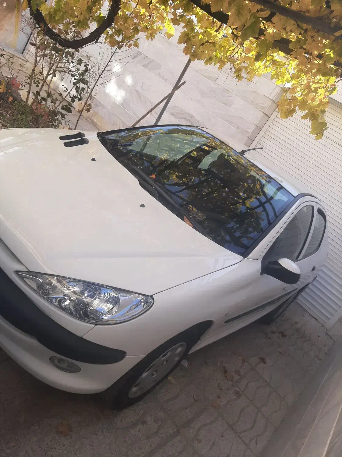 ۲۰۶ sd بی رنگ|خودرو سواری و وانت|ملایر, |دیوار