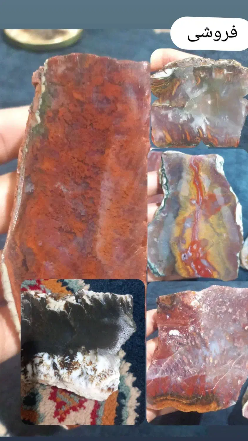 سنگ شجر قیمت مناسب|کلکسیون و سرگرمی|زابل, |دیوار