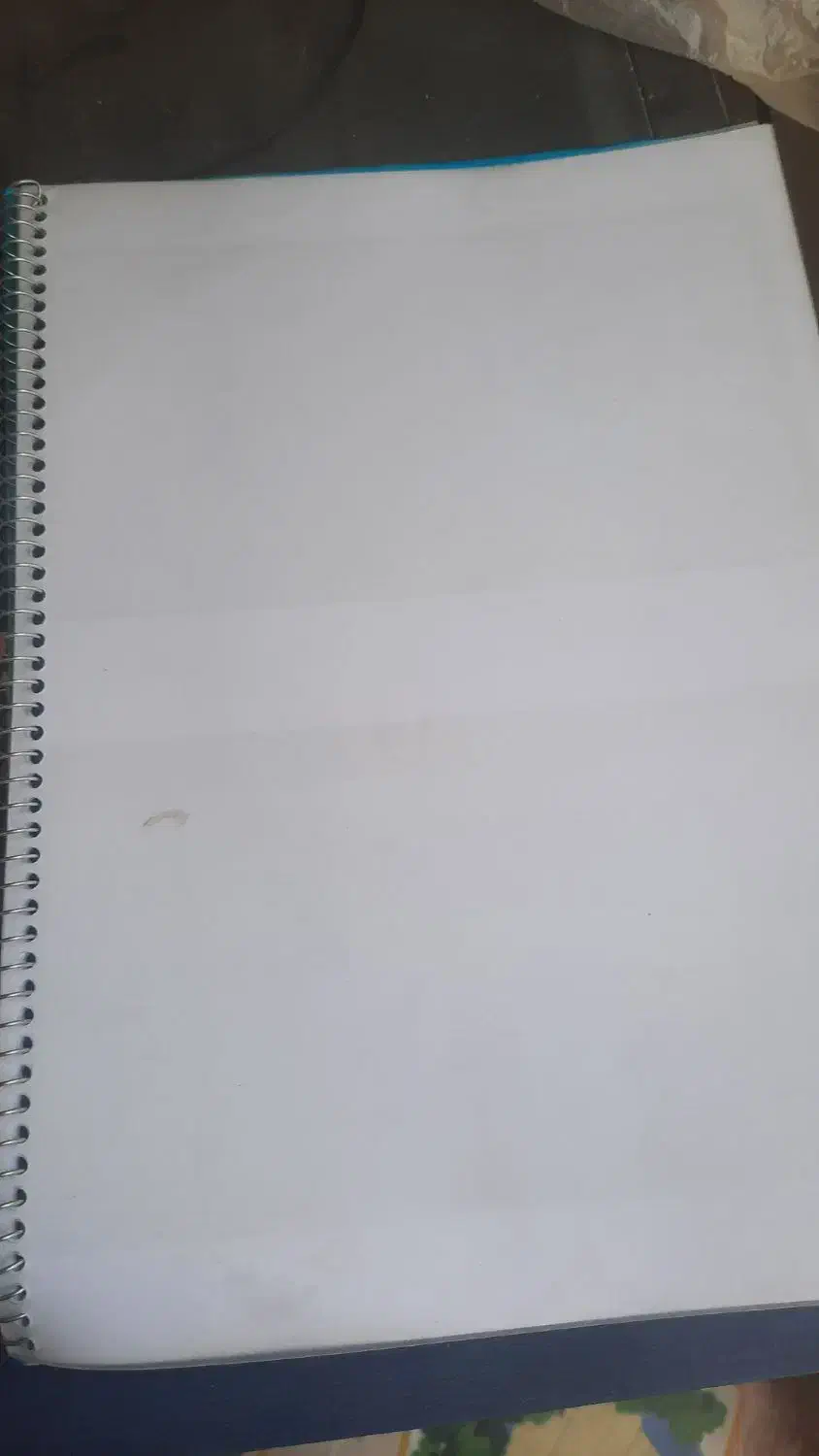 کاغذ باطله|عمدهفروشی|شیراز, فرهنگ شهر|دیوار