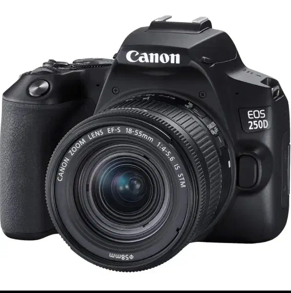 دوربین دیجیتال کانن مدل EOS 250 D به همراه لنز STM|دوربین عکاسی و فیلم‌برداری|شاهرود, |دیوار