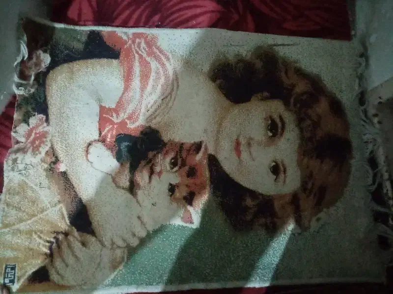 دوعددپادری سالم150|پادری|مشهد, رسالت|دیوار