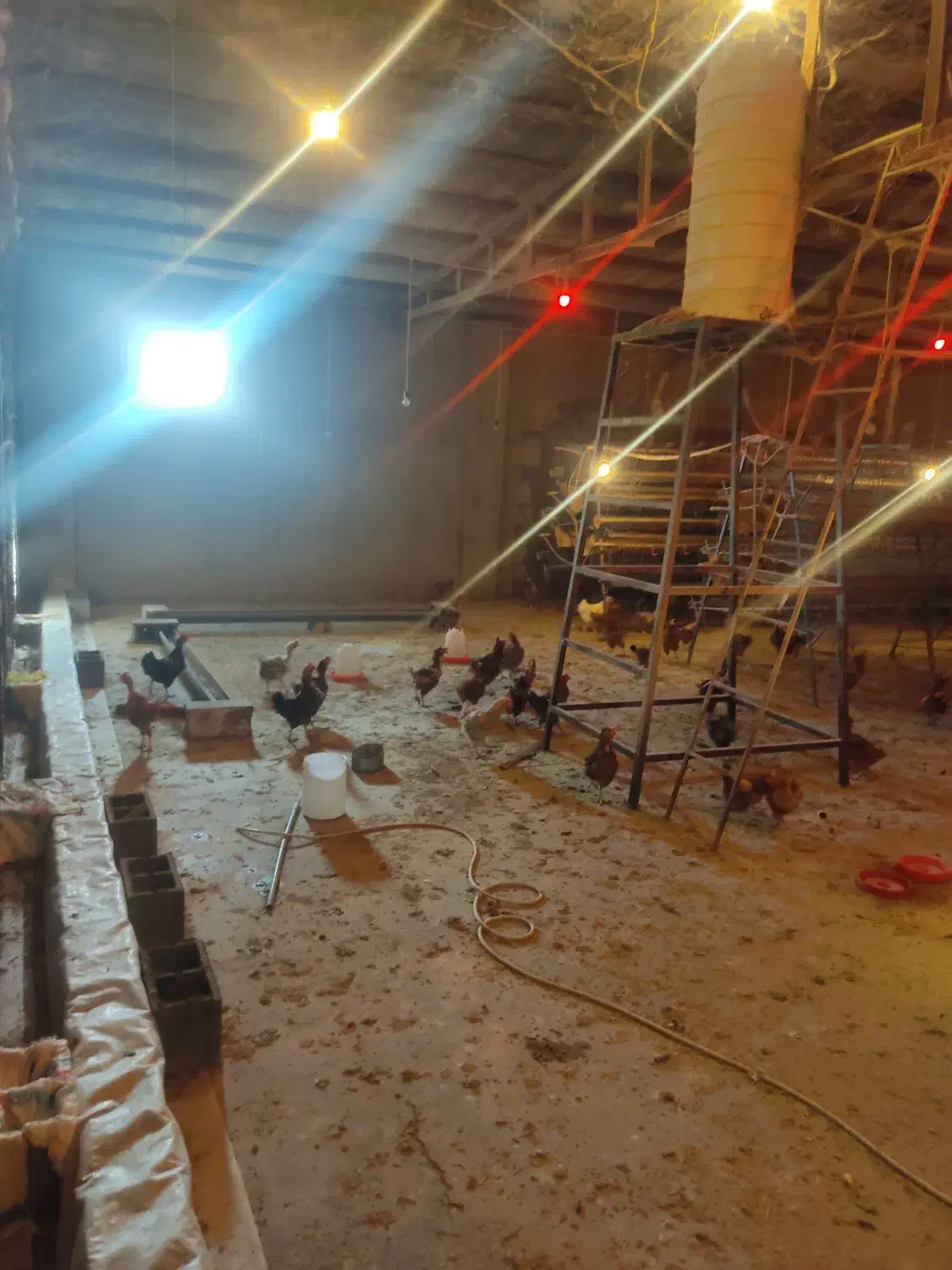 اجاره سوله ۵۰۰ متری با ۳۰۰ متر محوطه در ورامین|اجارهٔ دفتر صنعتی، کشاورزی، تجاری|جوادآباد, |دیوار