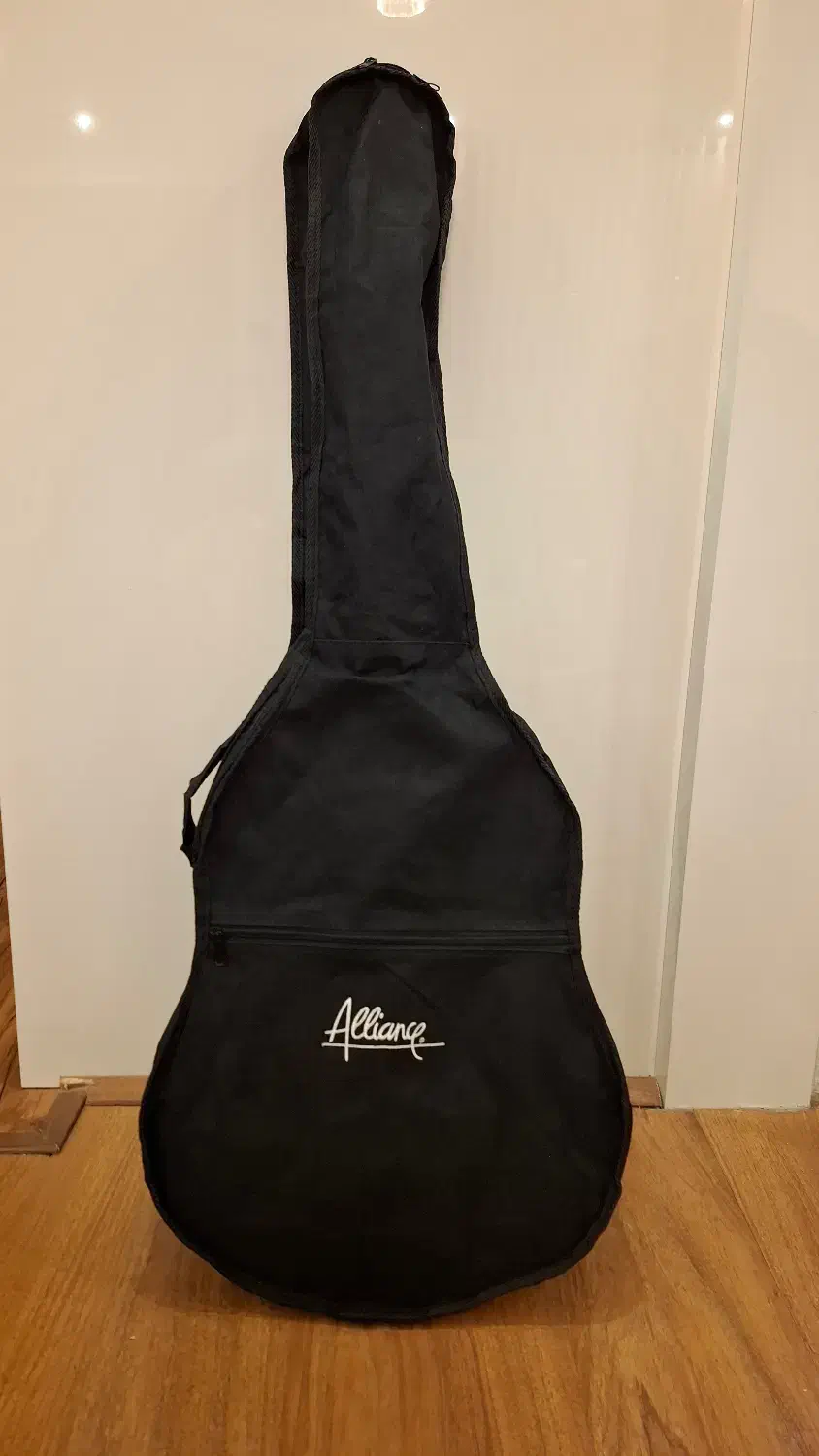 سافت کیس گیتار 4/4|گیتار، بیس، امپلیفایر|تهران, فردوس|دیوار