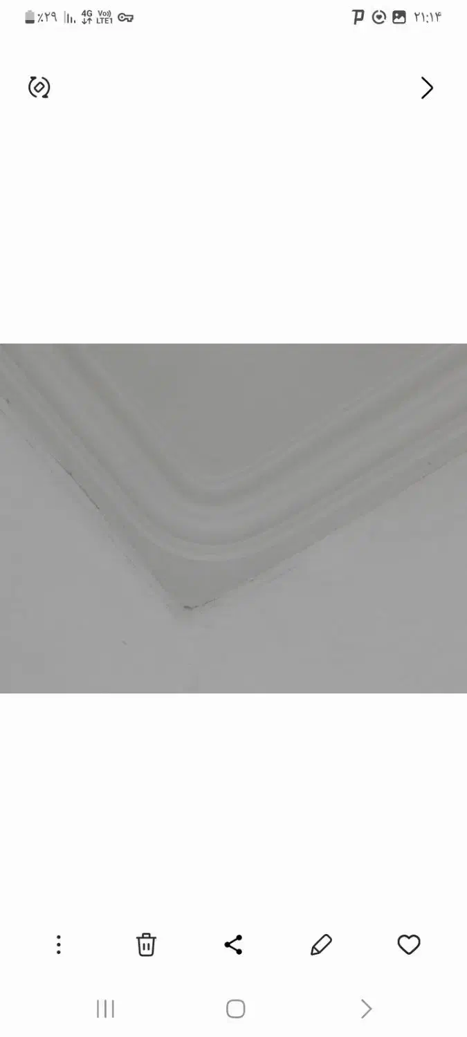 گچ کاری و ابزار|خدمات پیشه و مهارت|لامرد, |دیوار