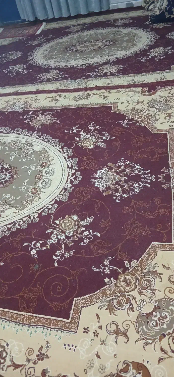 فرش سالم|فرش|زاهدان, |دیوار